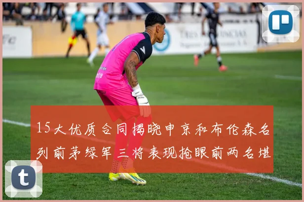 15大优质合同揭晓申京和布伦森名列前茅绿军三将表现抢眼前两名堪称传奇
