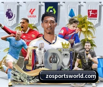 中欧体育 APP(ZOTYSPORTS)